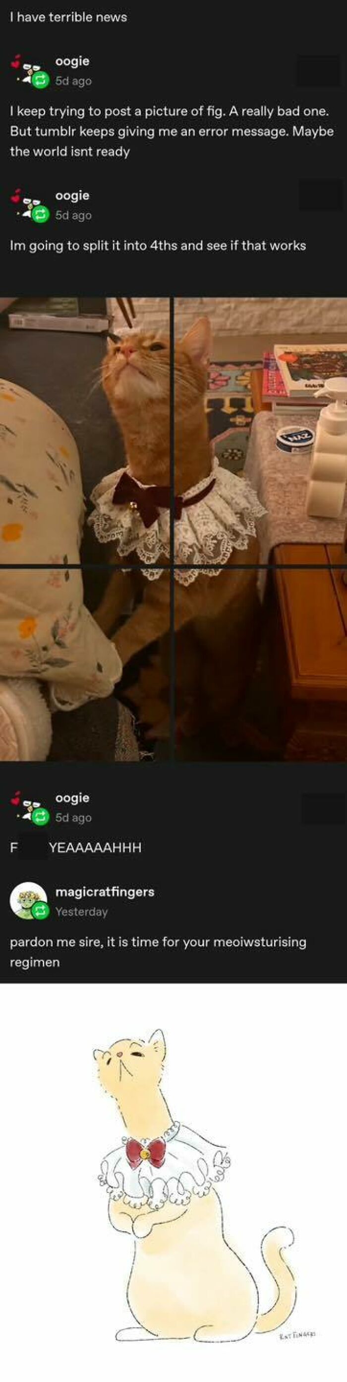 Cat wearing lace collar with bow, split into four parts, followed by matching Tumblr artist drawing in art style.