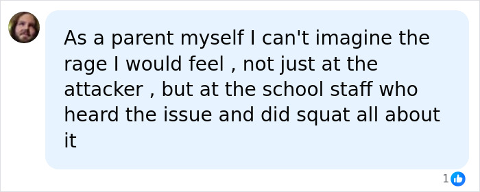 Comment expressing frustration with school staff inaction after 12-year-old school bully incident involving another child.