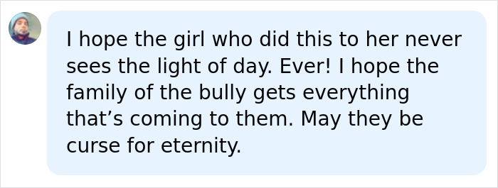 Screenshot of a social media comment expressing anger towards a 12-year-old school bully after a tragic incident.