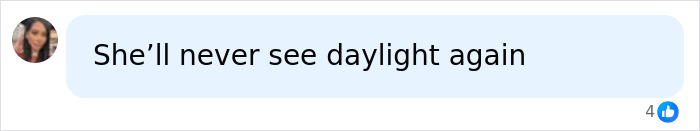 Screenshot of a social media comment related to a 12-year-old school bully arrest and its consequences.