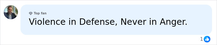Social media comment stating Violence in Defense, Never in Anger related to 12-year-old school bully arrest news.