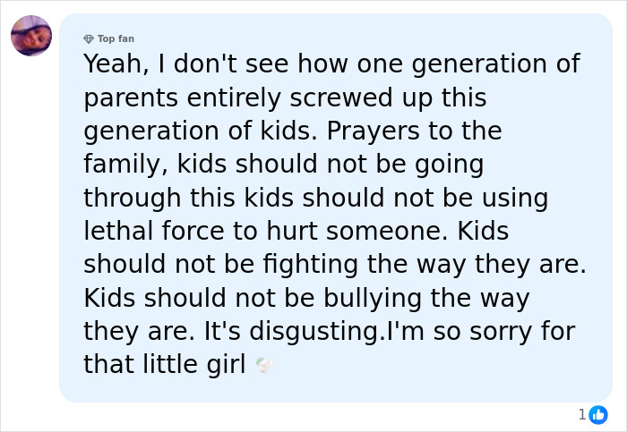 Comment discussing concerns about school bullying, 12-year-old bully behavior, and its serious impact on children and families.