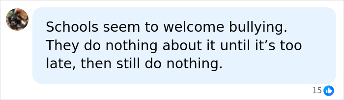 Comment criticizing schools for ignoring bullying until it&rsquo;s too late, posted with a blurred profile icon.