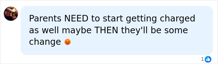 Screenshot of a social media comment expressing frustration about parents of a 12-year-old school bully and consequences.