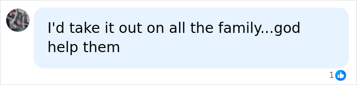 Comment on social media post expressing anger and concern about a 12-year-old school bully incident with serious consequences.