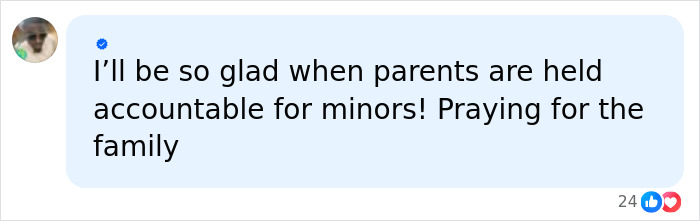 Comment expressing relief about parents being held accountable for minors, relating to 12-year-old school bully arrest.