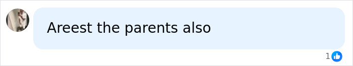 Screenshot of a social media comment discussing the arrest of a 12-year-old school bully and related parental responsibility.