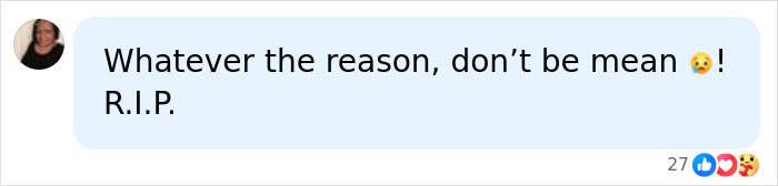 Comment expressing sympathy and referencing My 600-Lb. Life star Dolly Martinez&rsquo;s passing at age 30 with a sad emoji.