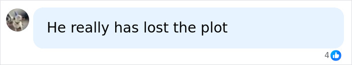 Screenshot of a social media comment saying He really has lost the plot in response to Robert De Niro Ariana Grande backlash discussion.