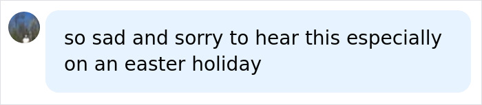 Comment expressing sympathy about a distressing Easter egg hunt incident involving a young mother, baby, and teenager.