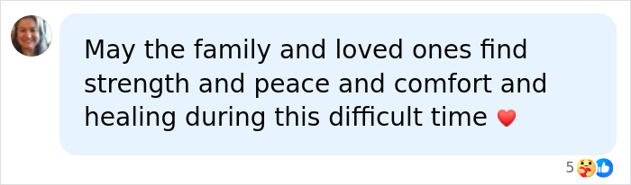 Comment expressing sympathy and support for a family after an Easter egg hunt nightmare involving a young mother, baby, and teenager.