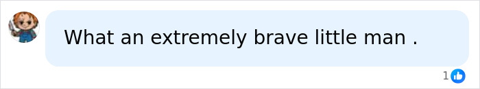 Social media comment praising a brave toddler involved in a police incident at Walmart.