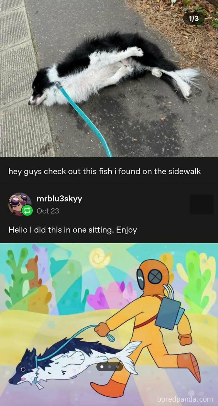 Border collie lying on sidewalk looks like a fish in digital art by a Tumblr artist.