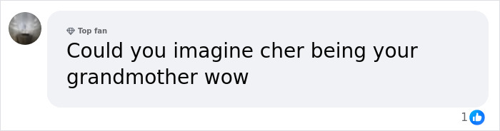 Comment mentioning Cher being a grandmother, highlighting Cher left speechless after discovering secret granddaughter.