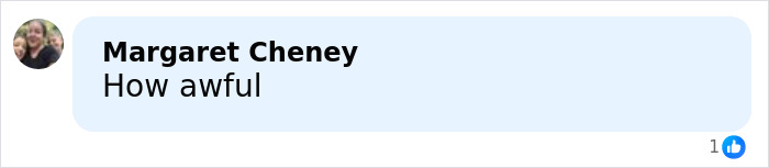 Comment on social media post reading how awful related to Mount Everest guides accused of spiking climbers' food scam.