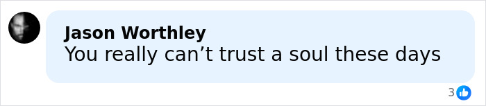 Screenshot of social media comment reading You really can&rsquo;t trust a soul these days related to Mount Everest guides scam news.