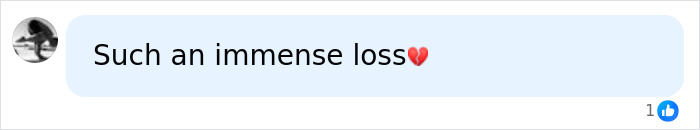 Comment expressing heartfelt loss with a broken heart emoji, relating to Catherine O’Hara’s brother’s shocking detail. Comment expressing heartfelt loss with a broken heart emoji, relating to Catherine O’Hara’s brother’s shocking detail.