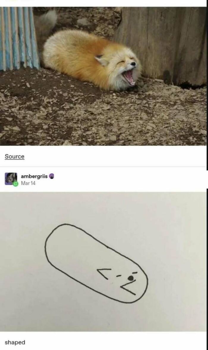 A yawning fox next to a simple minimalist drawing inspired by Tumblr artists making the internet better.