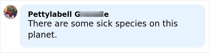 Comment by user Pettylabell expressing concern about harmful behavior, related to teacher allegedly building relationship with mom.