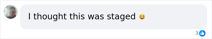 Comment on social media saying I thought this was staged, reacting to Fairfield intruder seen on video facing judge updates.