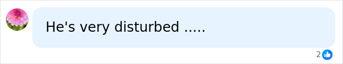 A message bubble with a profile picture of a flower, reading "He's very disturbed .....", relating to the FedEx driver.