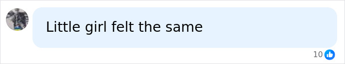 A social media post with a profile picture, text reading Little girl felt the same, and 10 likes, related to the FedEx driver.