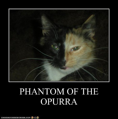 phantom-of-the-opurra-69e8b22bb2e67.jpg