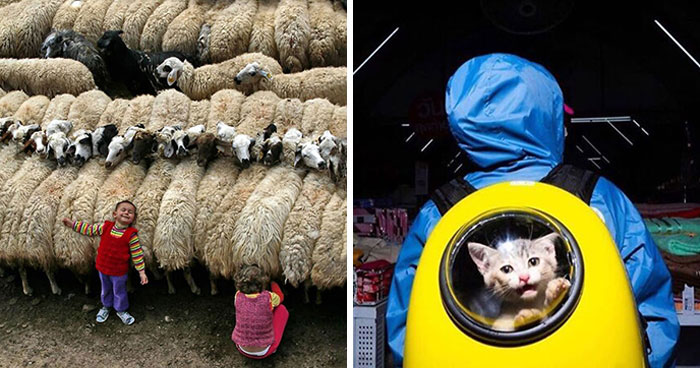 This Page Shares The Most Fascinating Photos, And Here Are The 33 Newest Ones