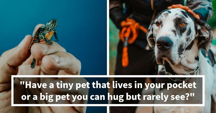 Draw Your Card: 20 Brutal ‘Lesser Evil’ Choices That Feel Absolutely Impossible