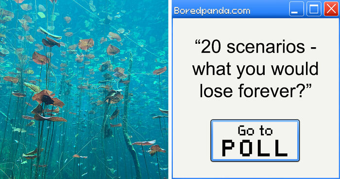 Draw Your Card: 20 Brutal ‘Lesser Evil’ Choices That Feel Absolutely Impossible