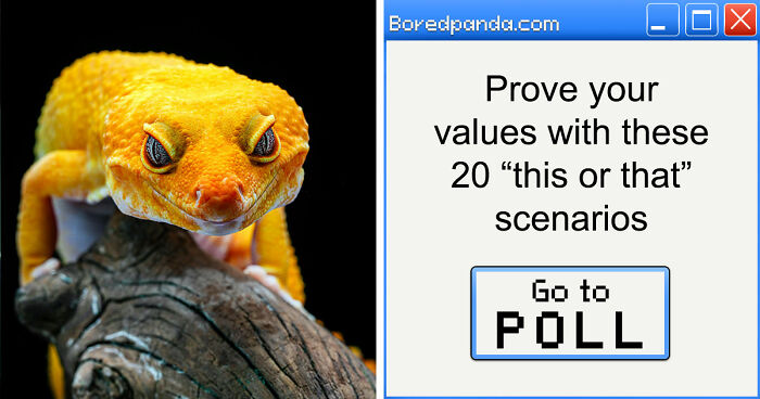 Draw Your Card: 20 Brutal ‘Lesser Evil’ Choices That Feel Absolutely Impossible