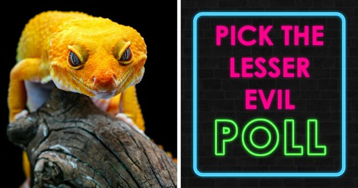 Draw Your Card: 20 Brutal ‘Lesser Evil’ Choices That Feel Absolutely Impossible