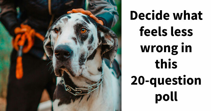 Draw Your Card: 20 Brutal ‘Lesser Evil’ Choices That Feel Absolutely Impossible