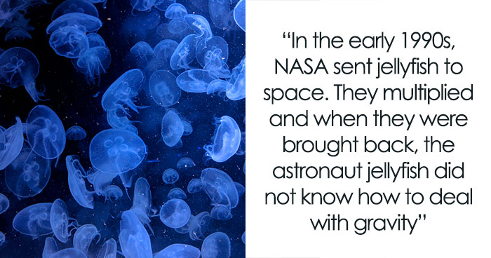 “There Are No Muscles In Your Fingers”: 63 Fun Facts To Snack On During Your Lunch Break