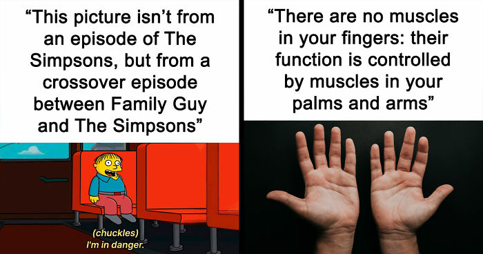 If You Find Joy In Learning Interesting And Fun Facts, Here Are 63 That Might Surprise You