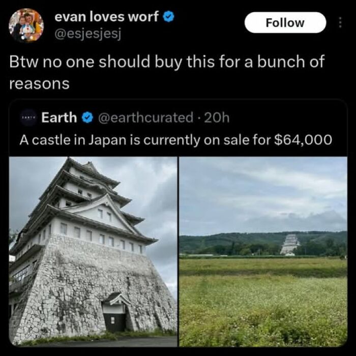 Screenshot of funny tweet about a castle for sale in Japan, illustrating humor in viral tweets for a good laugh.