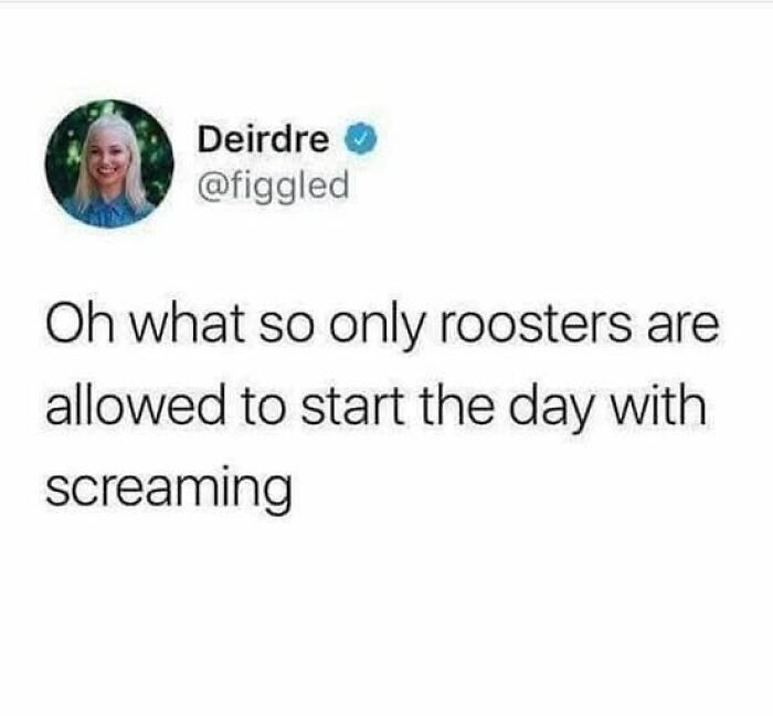 Funny tweet about roosters and morning screaming shared on social media for laughs and humor.