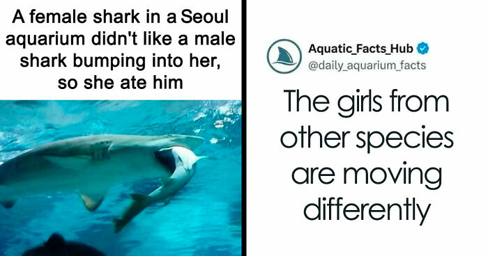 33 Funny Tweets For Those Who Don’t Use X But Want A Good Laugh