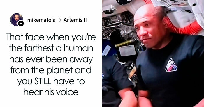 33 Funny Tweets For Those Who Don’t Use X But Want A Good Laugh