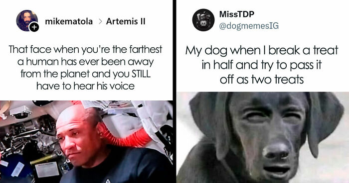 “Best And Worst Of Twitter”: 33 Screenshots From X That Are Funnier Than They Should Be