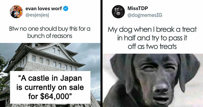 “Best And Worst Of Twitter”: 33 Screenshots From X That Are Funnier Than They Should Be