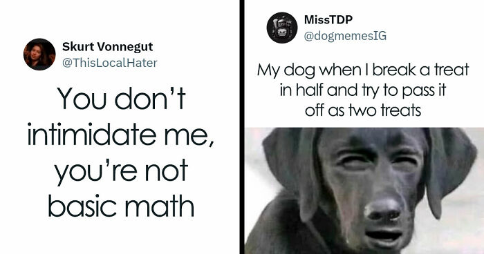 33 Funny Tweets For Those Who Don’t Use X But Want A Good Laugh