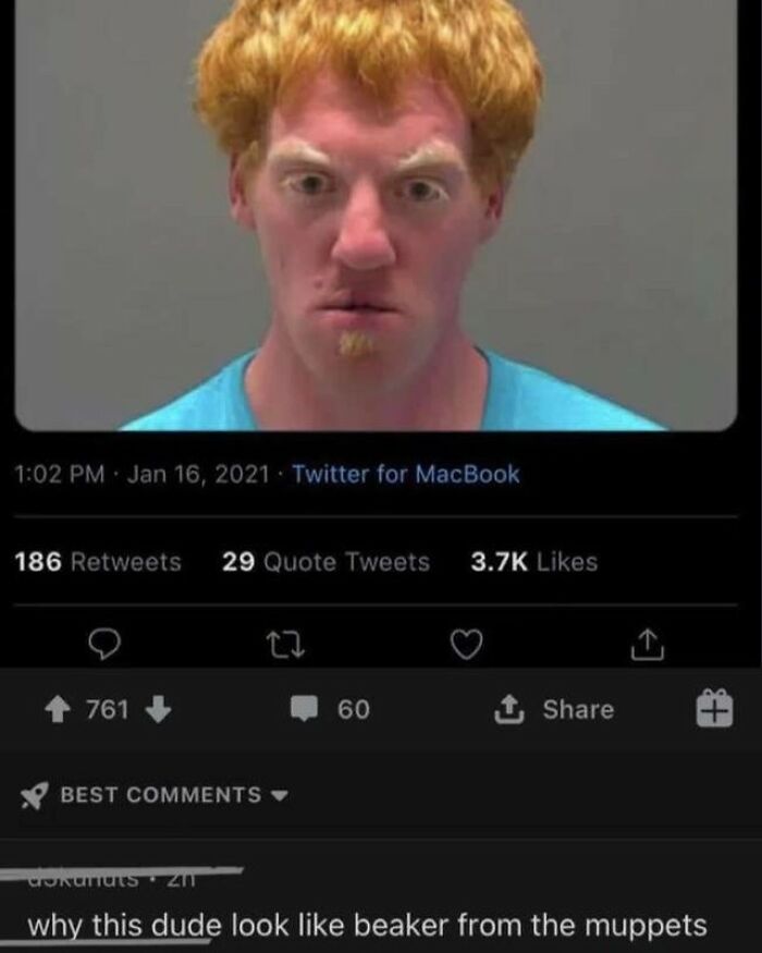 Mugshot of a man with ginger hair and pale skin, generating burns and comparisons to Beaker from The Muppets.