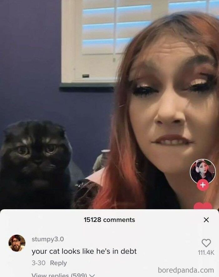 A woman and her cat react to a comment saying the cat looks in debt. A rare burn.