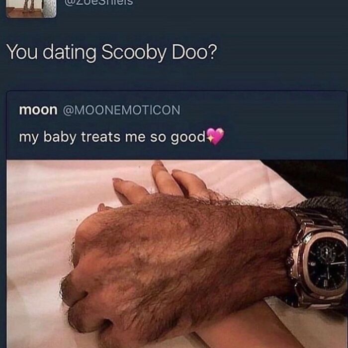 A meme showing a very hairy hand holding a smoother hand with a watch, generating a rare burn about Scooby Doo.