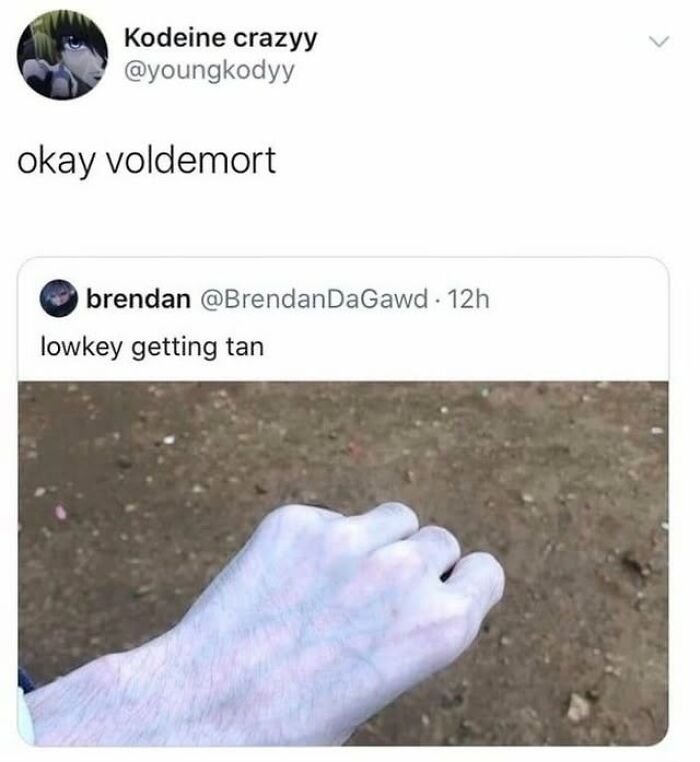 A pale hand described as getting tan, with a comment saying okay voldemort, a rare burn that hits hard.