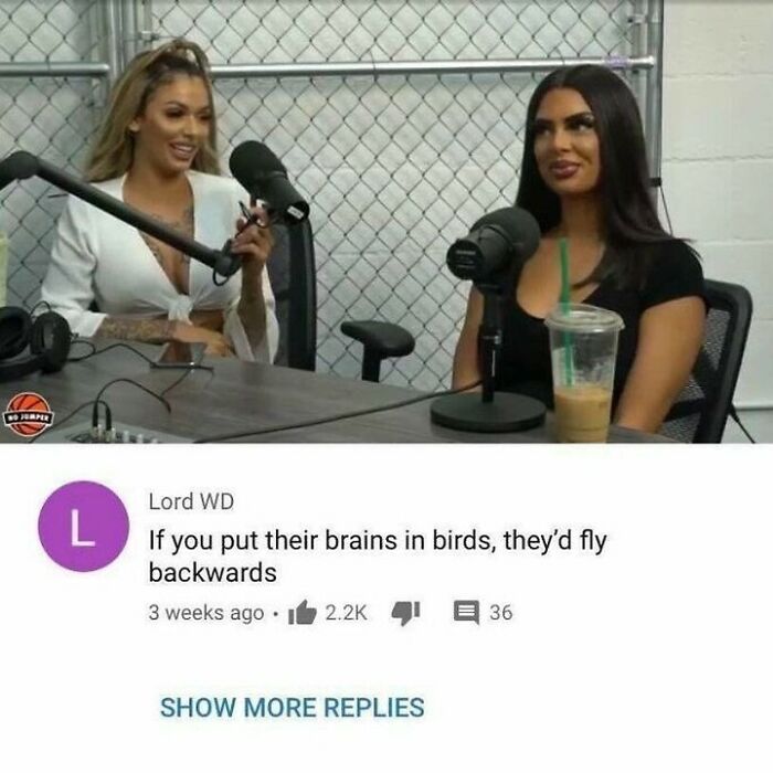 A user comment delivers a rare burn to two women on a podcast. It's a burn that hits so hard.