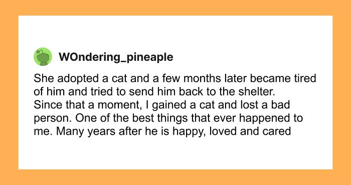 “My Bank Account And My Therapist Are Still Recovering”: 47 People Share Red Flags That Made Them End Things