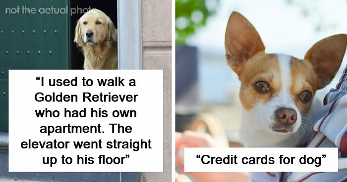 “$200 Worth Of Pizza For $1.3M”: 85 Times The Ultra-Rich Spent Money In Ways That Feel Almost Offensive