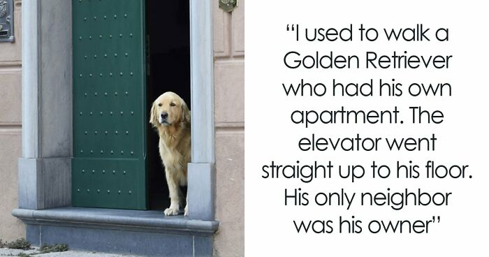 “$200 Worth Of Pizza For $1.3M”: 85 Times The Ultra-Rich Spent Money In Ways That Feel Almost Offensive